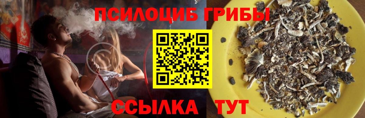 Галлюциногенные грибы мицелий Саранск