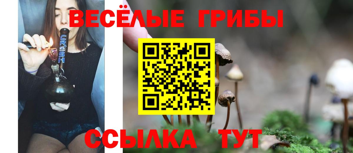 Псилоцибиновые грибы Psilocybe  Псилоцибиновые грибы мицелий  Вход с VPN  Саранск 