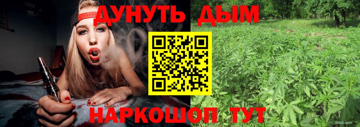 Канабис план Саранск
